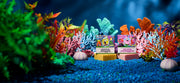 SpongeBob 4-Pack W1