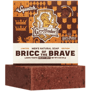 Bricc of the Brave L1