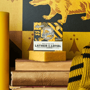 Harry Potter Collection Q2