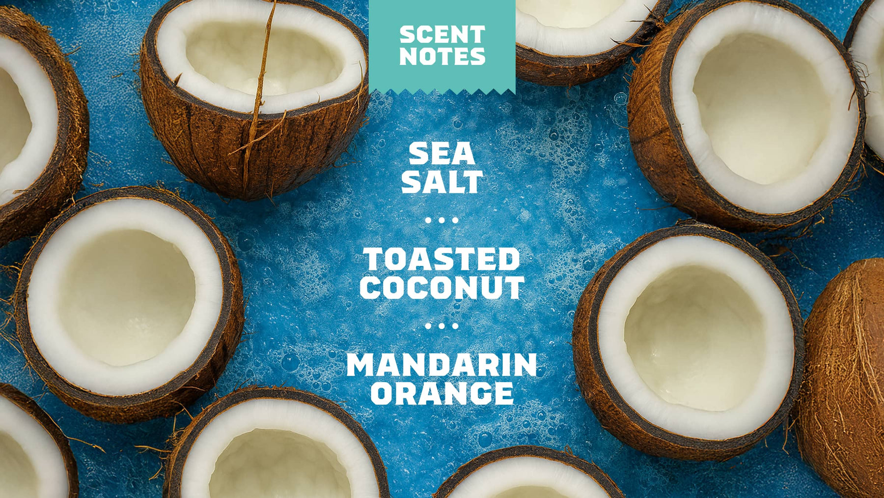Coconut Castaway Lotion T6