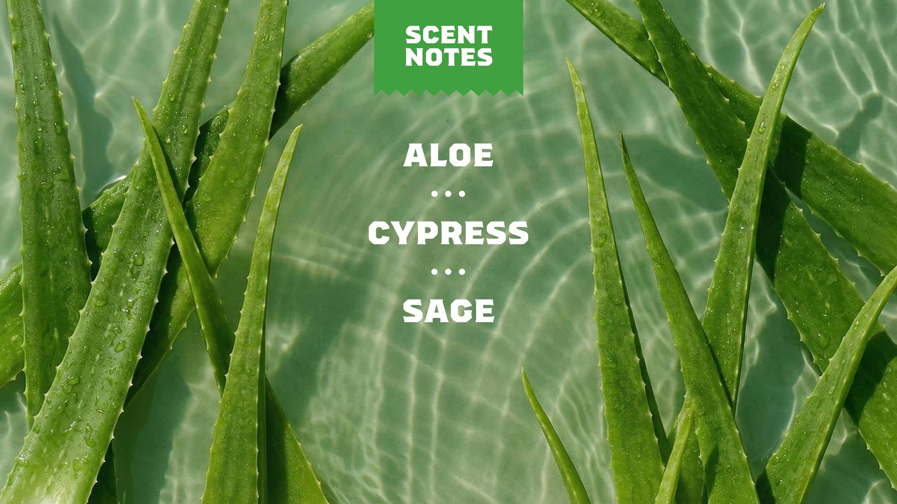 Cool Fresh Aloe Conditioner J5