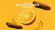 Summer Citrus Hand Soap K2