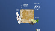 FIFA Golden Glory 3-Pack Bar Soap Bundle J4