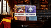 Destiny Duel 2-Pack L8