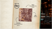Fate-Forged 4-Pack W0
